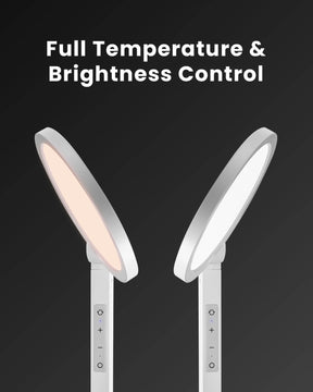 Edge Light